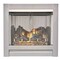 Duluth Forge Ventless Stainless Outdoor Gas Fireplace Insert DF450SS-L - alternate 5